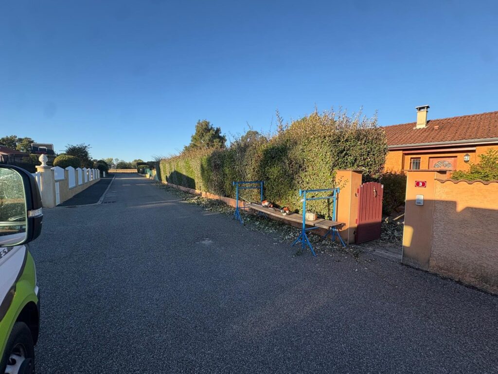 Avant : taille de haie à Saint-André-sur-Vieux-Jonc